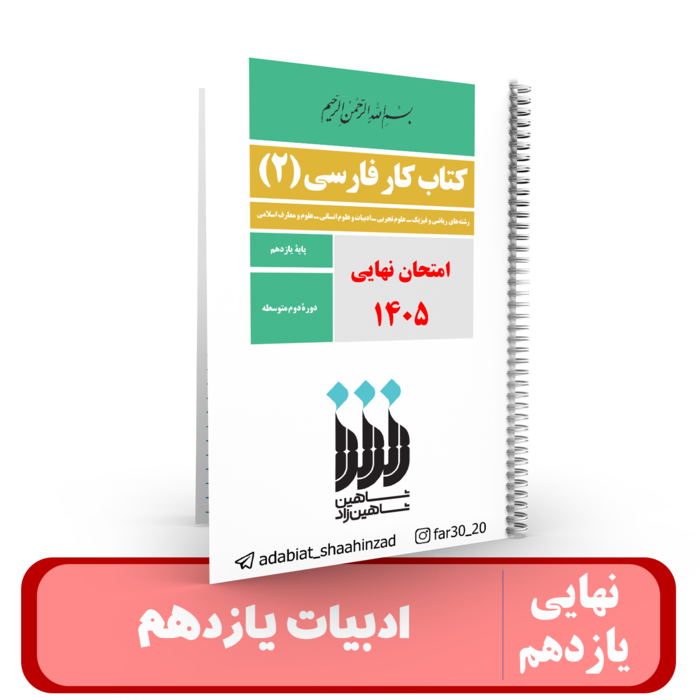 جزوه مصور ادبیات فارسی پایه 11 استاد شاهین زاد-نهایی 1405