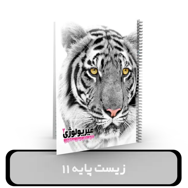 جزوه زیست شناسی یازدهم استاد ایمان صادقیان کنکور 1404