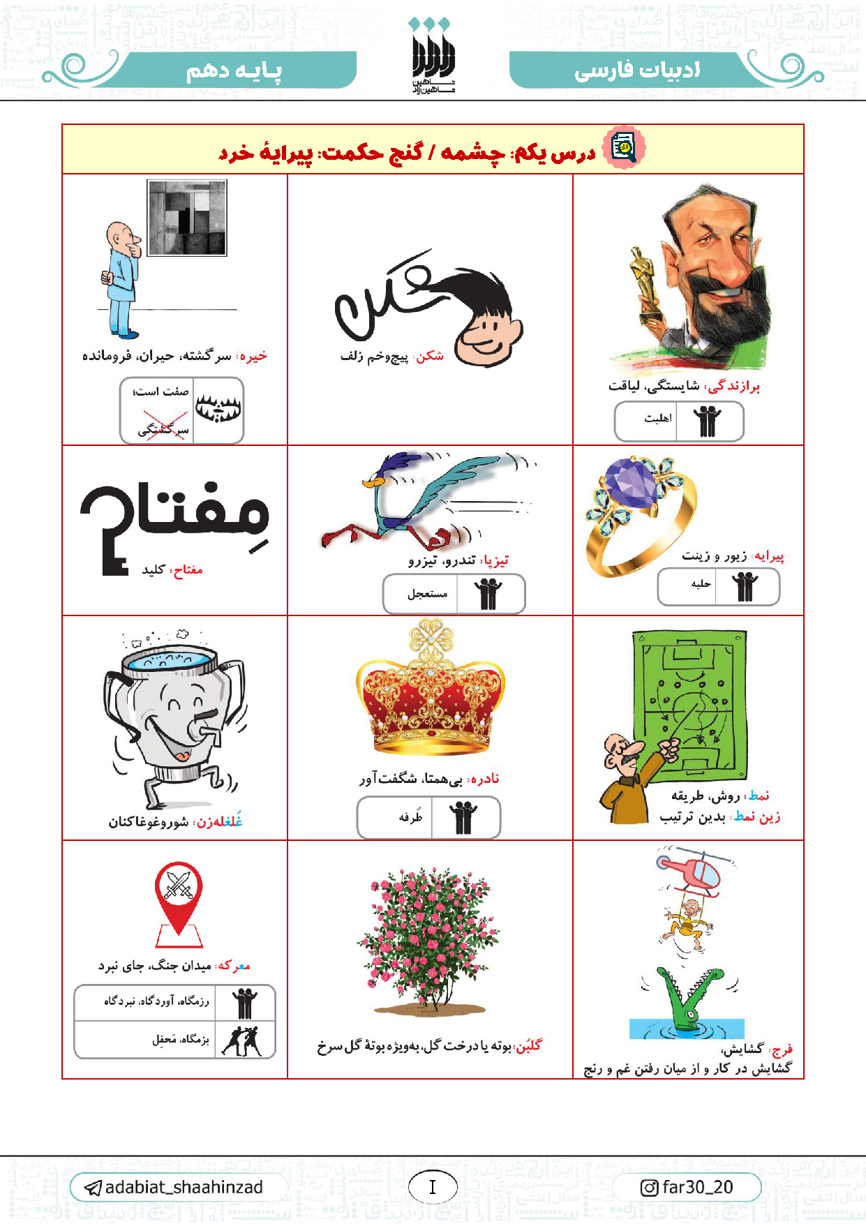 جزوه مصور ادبیات فارسی پایه 10- استاد شاهین زاد نهایی 1406