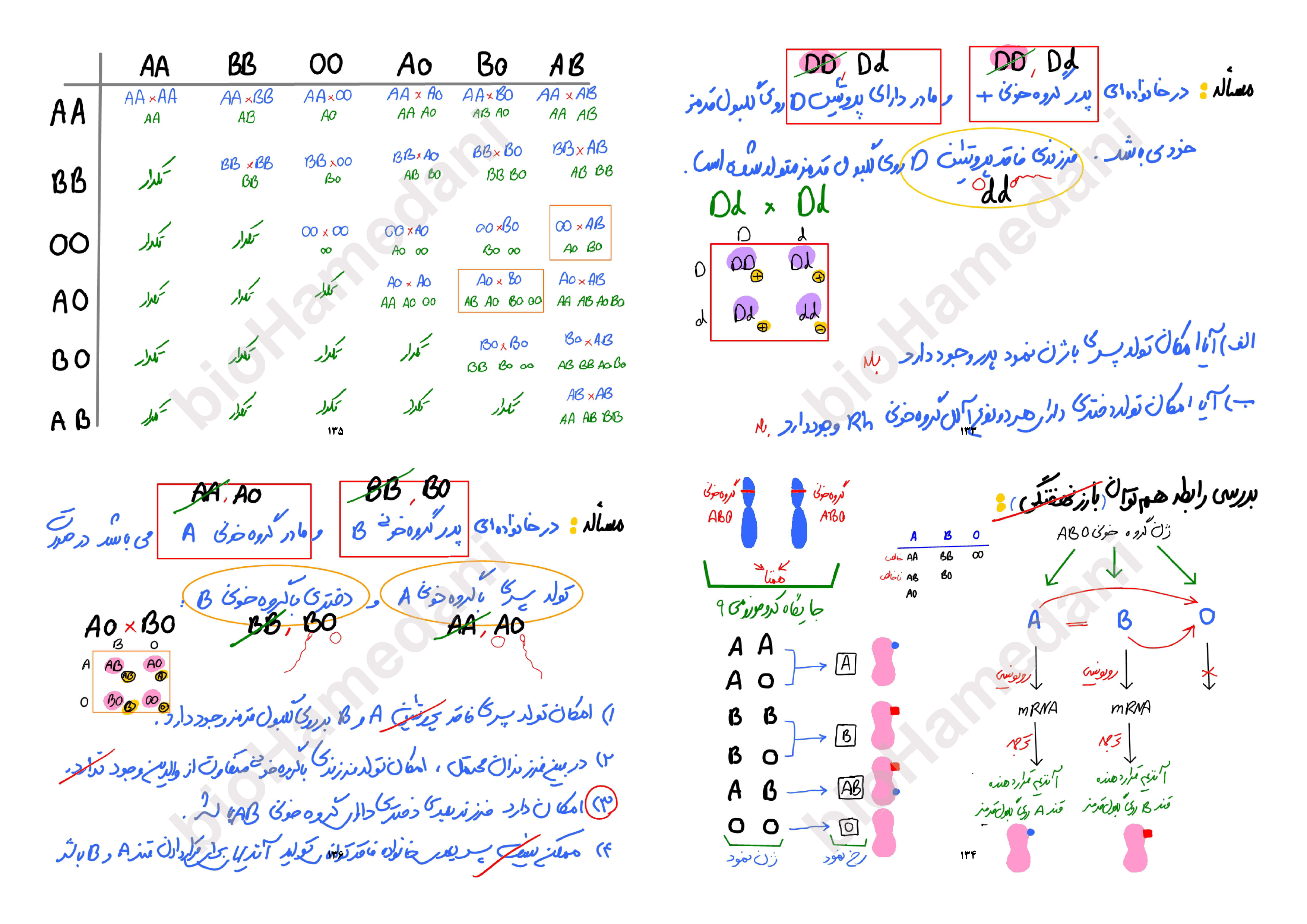 جزوه مباحث نموداری زیست شناسی کنکور - استاد همدانی (بصورت دست نویس و با جزوه تایپی طول سال متفاوت است)