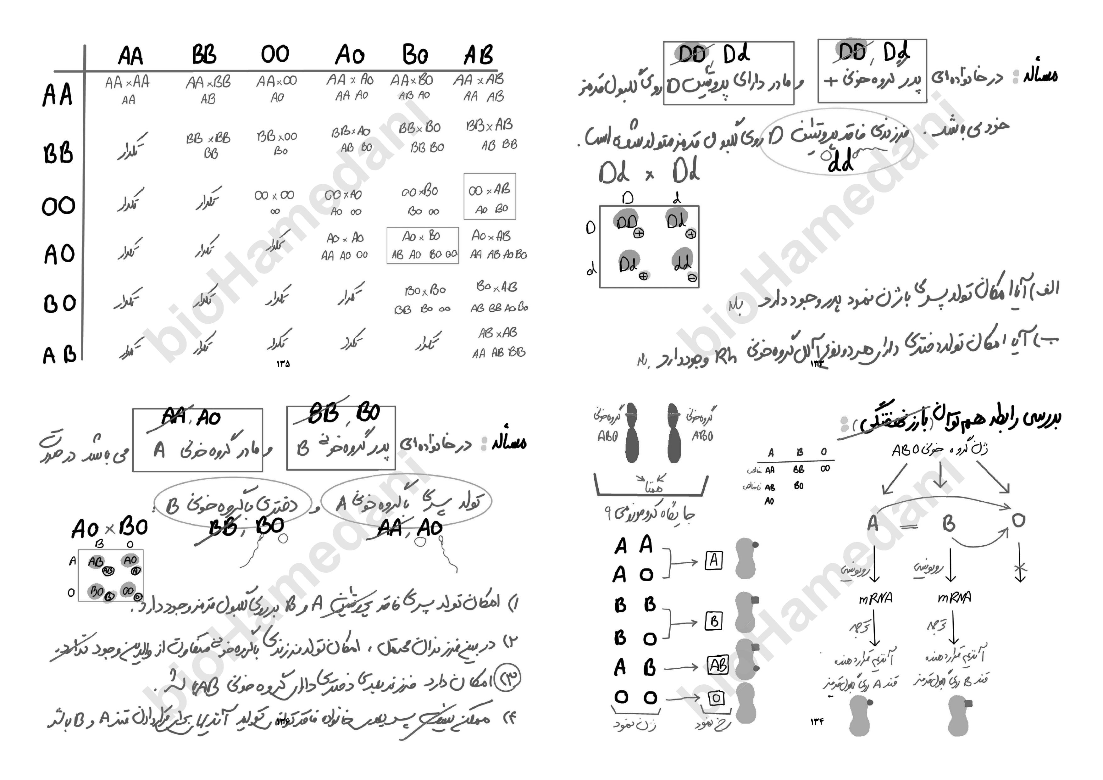 جزوه مباحث نموداری زیست شناسی کنکور - استاد همدانی (بصورت دست نویس و با جزوه تایپی طول سال متفاوت است)