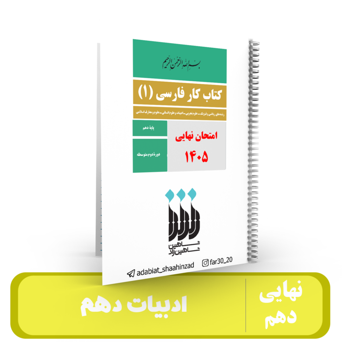 جزوه مصور ادبیات فارسی پایه 10استاد شاهین زاد - نهایی 1405
