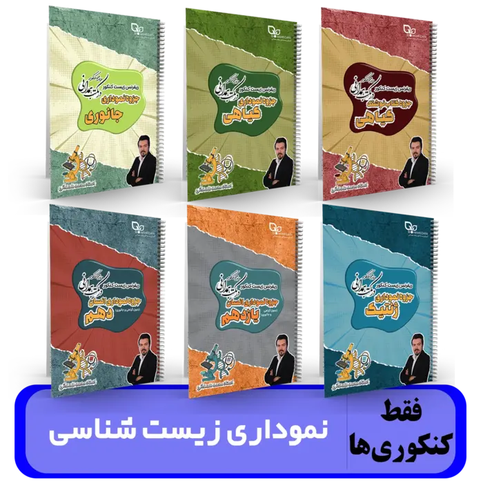 پک جزوات نموداری کنکور زیست شناسی استاد همدانی (بصورت دست نویس و با جزوه تایپی طول سال متفاوت است)