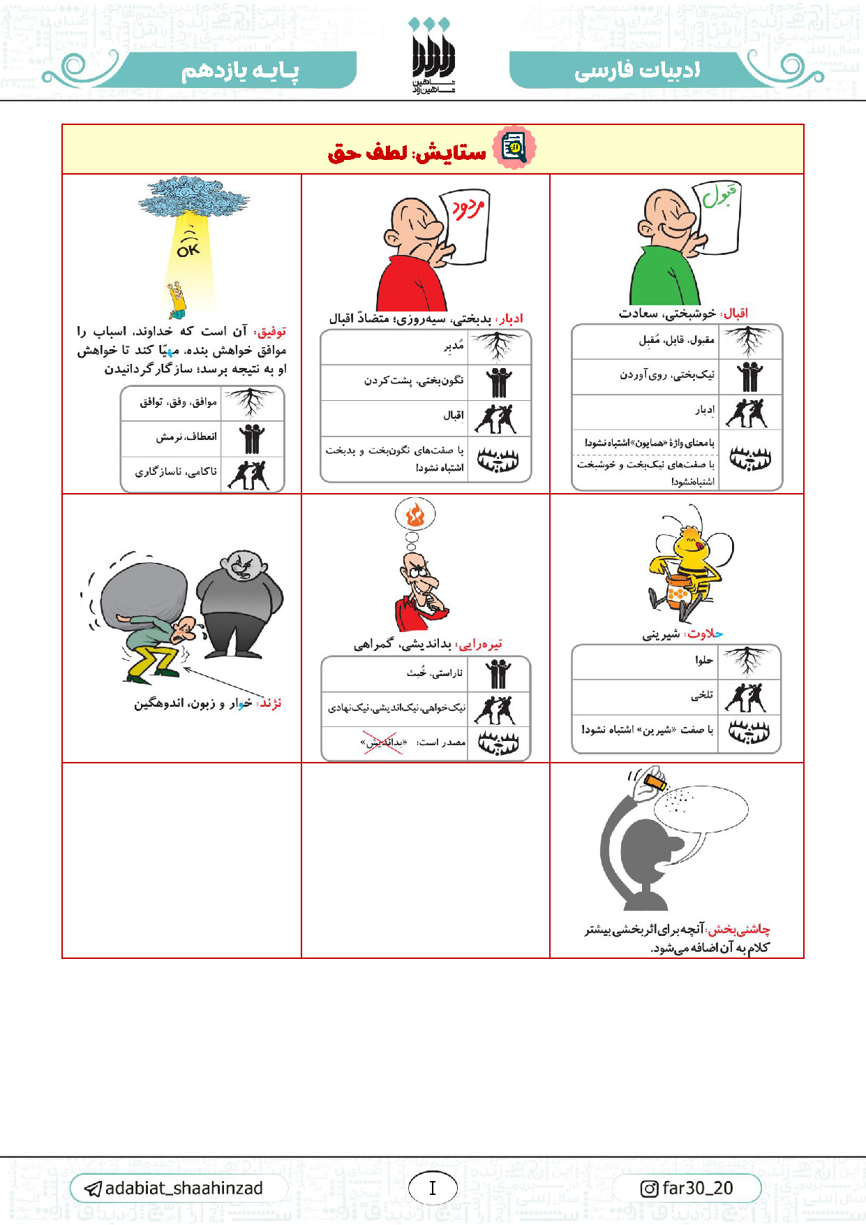 جزوه مصور ادبیات فارسی پایه 11 - استاد شاهین زاد نهایی 1406